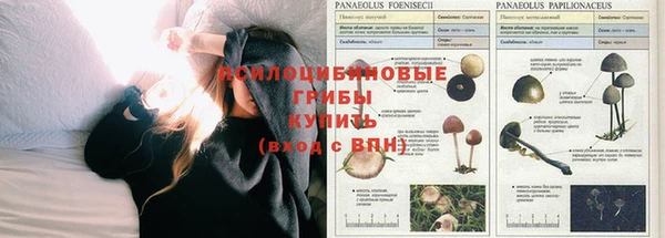 каннабис Богородск
