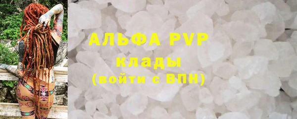 эйфоретик Богданович