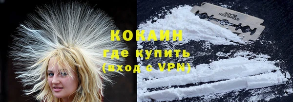 эйфоретик Богданович