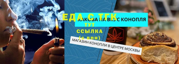 эйфоретик Богданович
